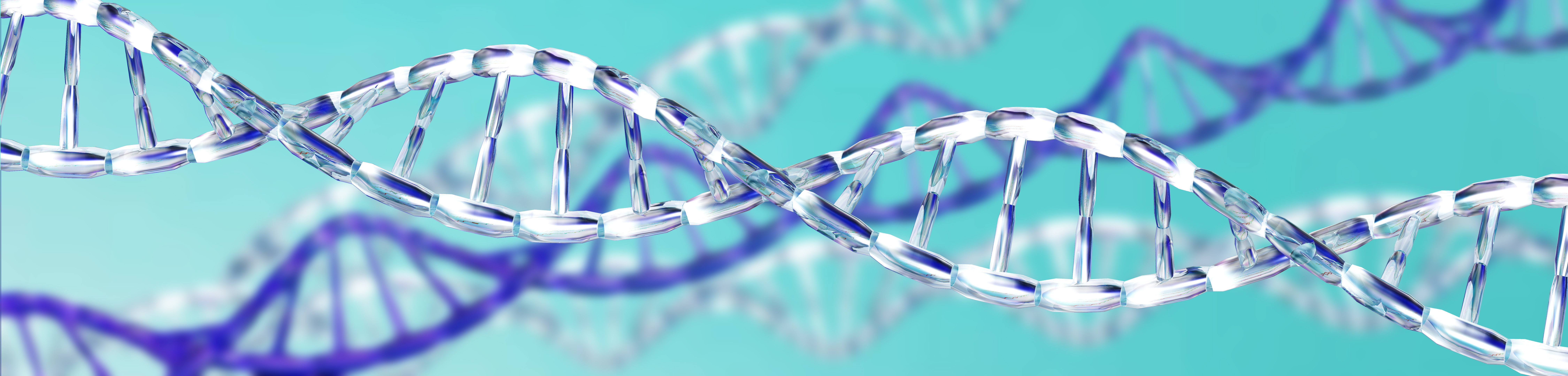 www.insilico-biology.com