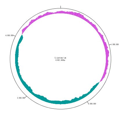 IMC 510 C206 081