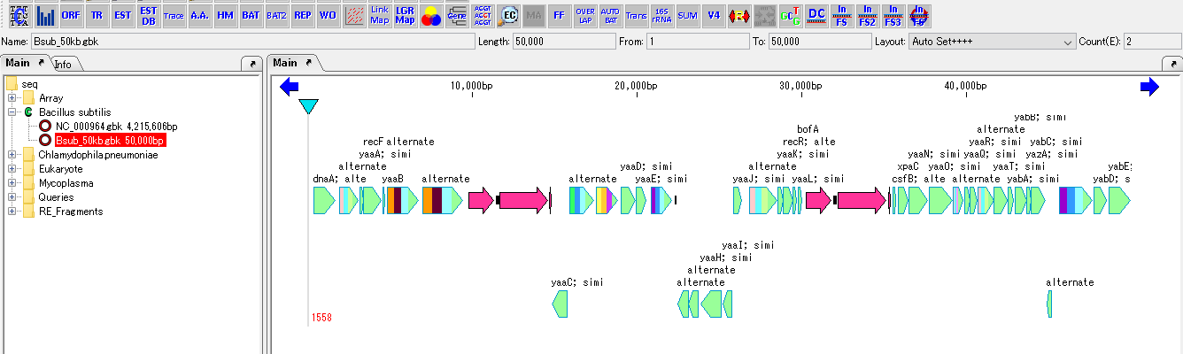 In Silico Biology Com 逆相補鎖デザイン